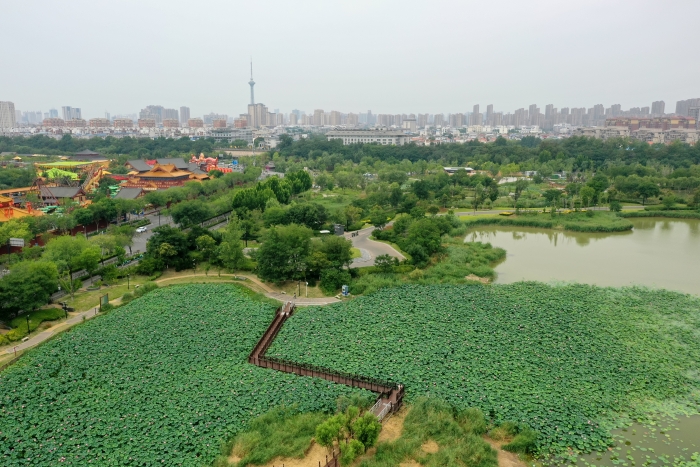 夏日的古城，荷花清雅、花木青翠，与古建筑相映成趣，为古城的夏日增添无限活力。全媒体记者 石斐7月2日摄