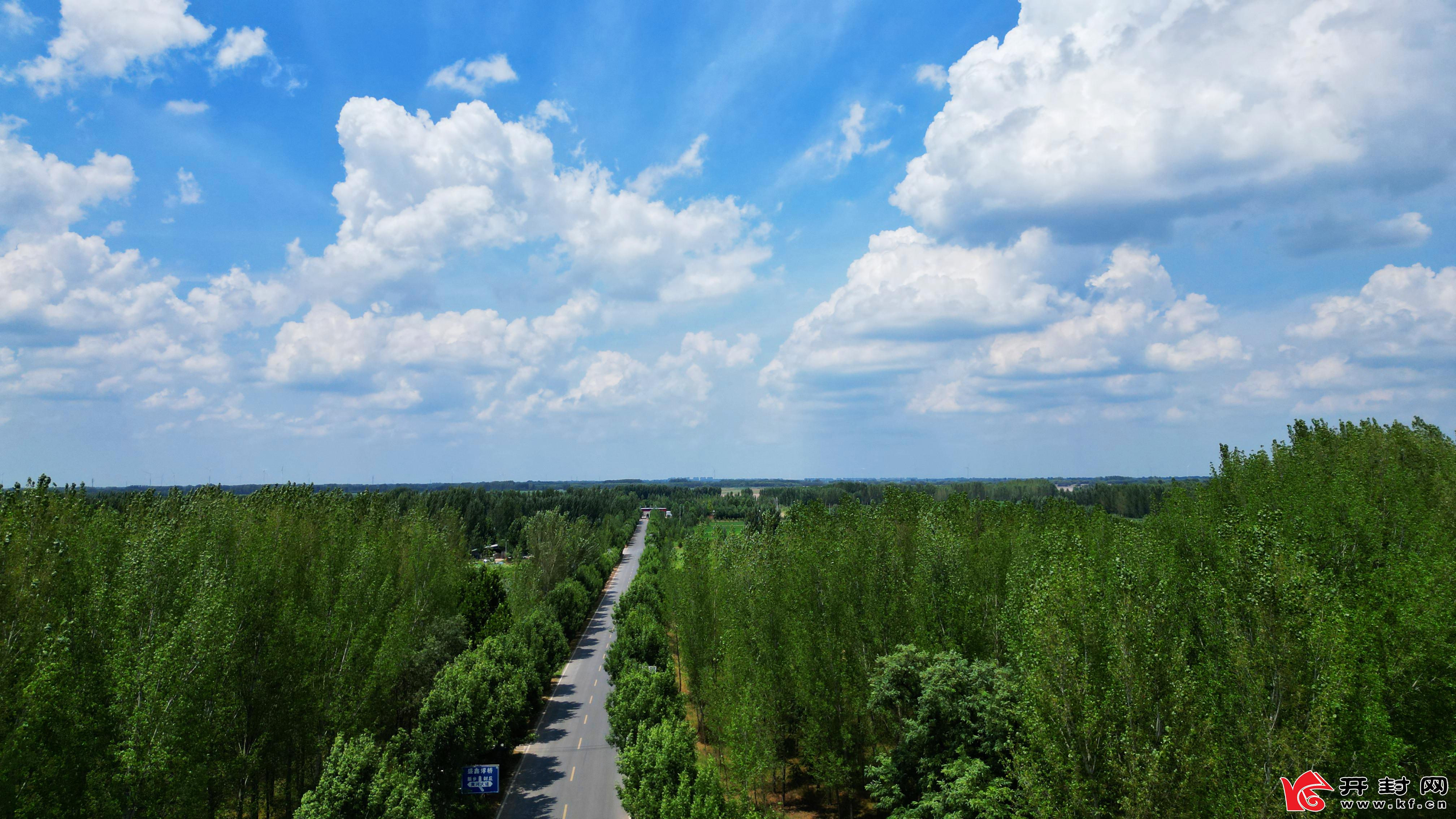 盛夏时节，碧空如洗，流云漫过天际，蜿蜒绵长的黄河大堤，披着一身郁郁葱葱的绿意，在蓝天白云的映衬下铺展向远方。大堤两侧的草木肆意生长，绿意盎然，顺着大堤的轮廓绵延起伏，与纯净的天色温柔相拥。（通讯员 贾金鹏）